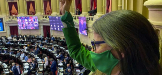Tras la histórica aprobación de la legalización del aborto, la cartera encabezada por Elizabeth Gómez Alcorta quiere aprovechar el envión de la "marea verde" para impulsar en el Congreso una serie de leyes que son deudas pendientes.