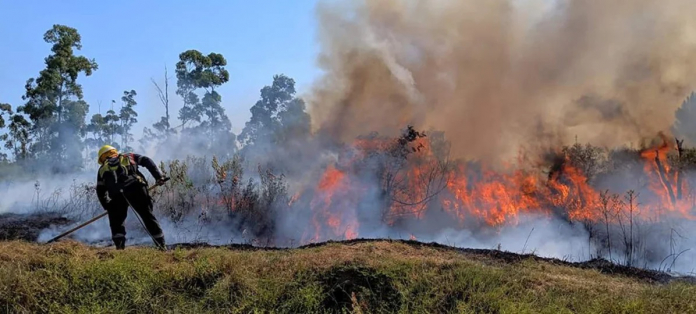 El Ministerio de Ambiente informó que el organismo obtuvo un aumento presupuestario de $4.000 millones con el objetivo de fortalecer el combate de incendios forestales. Sin embargo, ACIJ expresó que "se asignó un 28% menos que lo gastado en valores reales en 2021"